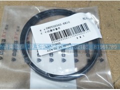 080V02503-6810,活塞環(huán)套件,濟南領(lǐng)泰（原玉華）汽車零部件有限公司