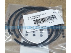 080V02503-6810,活塞環(huán)套件,濟南領(lǐng)泰（原玉華）汽車零部件有限公司