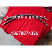 供應(yīng)陜汽德龍F(tuán)3000前制動軟管DZ9100360163