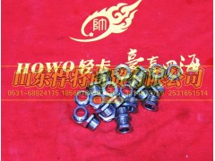 LG9700362509,HOWO豪沃輕卡螺母座KM22,山東悍將商貿(mào)有限公司