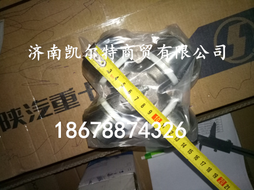 供應(yīng)中國(guó)重汽豪沃萬向節(jié)A3814100231 53*135/A3814100231