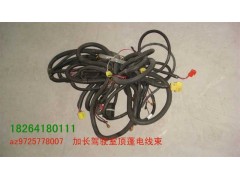 AZ9725778007,頂蓬線束,濟(jì)南百思特駕駛室車身焊接廠