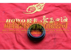 2402Q01-060-F,HAOWO豪沃輕卡油封總成,山東悍將商貿(mào)有限公司