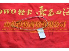 102013010-18,HAOWO豪沃輕卡鋼絲鎖線(xiàn),山東悍將商貿(mào)有限公司