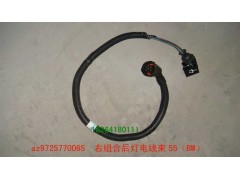 AZ9725770065,左組合后燈電線束,濟(jì)南百思特駕駛室車身焊接廠