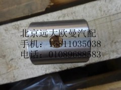 30D5-01020,轉向節(jié)襯套下#38,北京遠大歐曼汽車配件有限公司