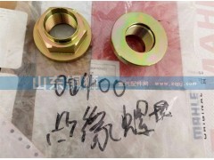 00400,凸緣螺母,山東銅獅汽車零部件有限公司