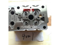 612630040019R,各種型號(hào)氣缸蓋,濰坊宏強(qiáng)汽車(chē)零部件有限公司