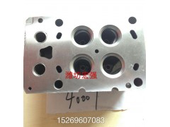 612630040019R,各種型號(hào)氣缸蓋,濰坊宏強(qiáng)汽車(chē)零部件有限公司