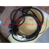 尾燈電線束（內(nèi)飾件）
