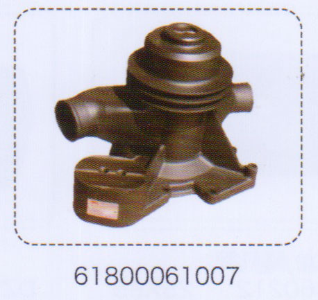 61800061007,發(fā)動機(jī)水泵,濟(jì)南泉信汽配