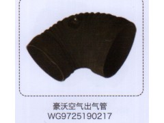 WG9725190217,豪沃空氣出氣管,濟南泉信汽配