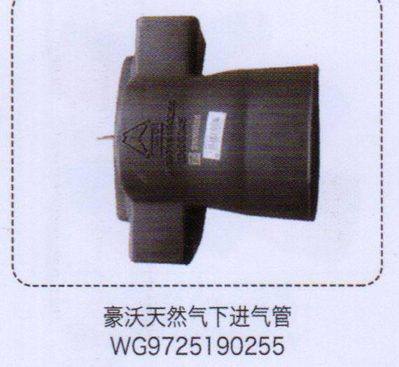 WG9725190255,豪沃天然氣下進(jìn)氣管,濟(jì)南泉信汽配