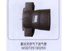 WG9725190255,豪沃天然氣下進(jìn)氣管,濟(jì)南泉信汽配