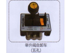 ,聚生閥自卸車（五孔）,濟(jì)南泉信汽配