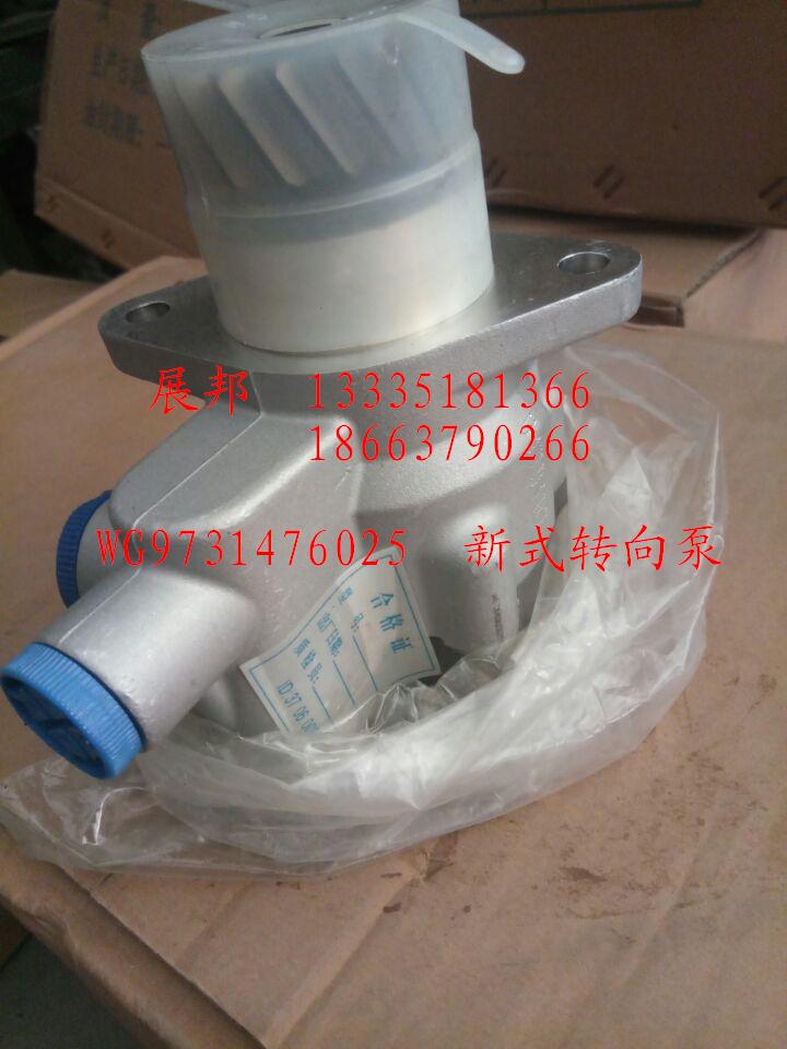 新式轉(zhuǎn)向泵/WG9731476025