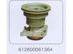 612600061364,濰柴發(fā)動機(jī)WP10水泵,濟(jì)南泉信汽配