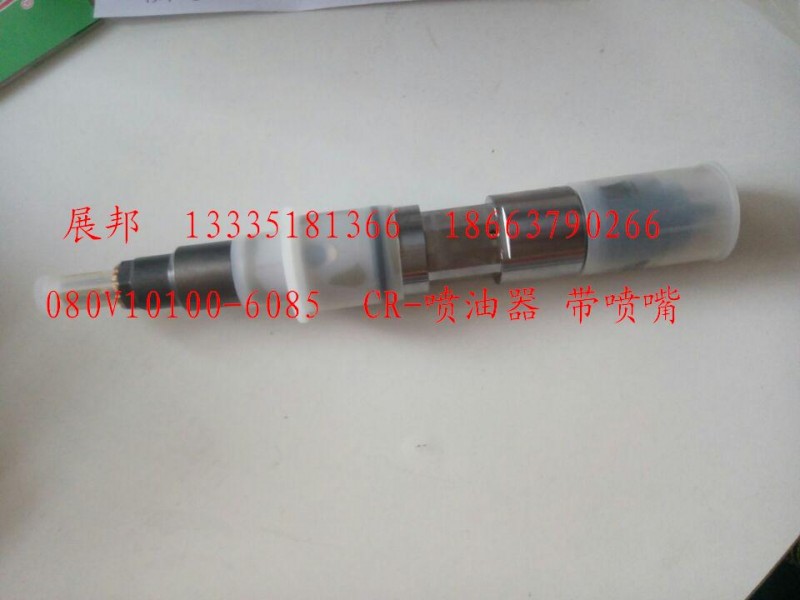 080V10100-6085,CR-噴油器 帶噴嘴,濟(jì)南冠澤卡車配件營(yíng)銷中心