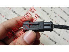 WG1034121033,尿素溫度傳感器,濟南翊旋商貿(mào)有限公司（原重信）