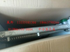 812W06100-0004,中冷器總成,濟(jì)南冠澤卡車配件營(yíng)銷中心