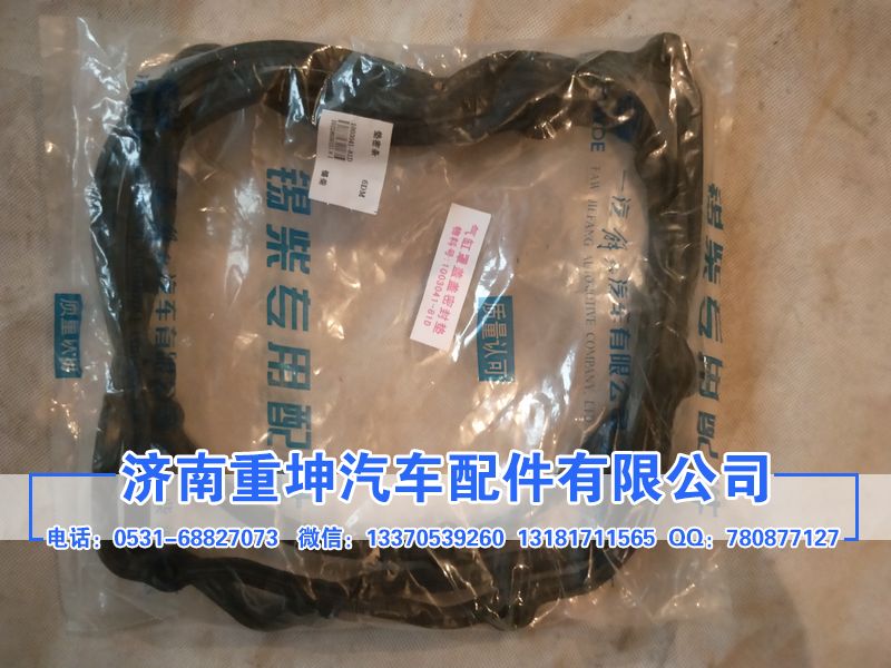 1003041-81D,密封條,濟(jì)南重坤汽車(chē)配件有限公司