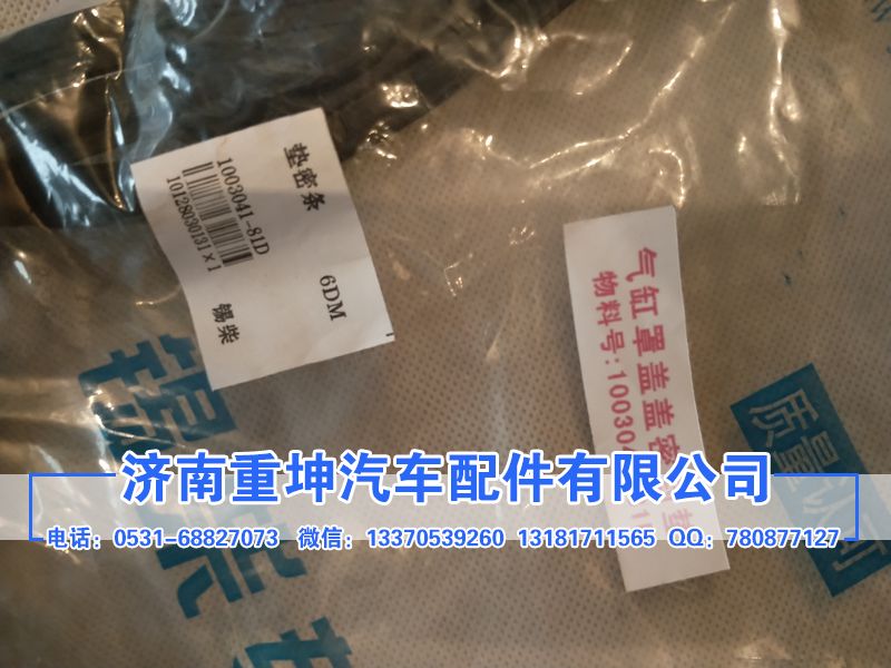 1003041-81D,密封條,濟(jì)南重坤汽車(chē)配件有限公司
