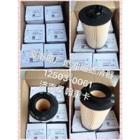 重汽豪瀚駕駛室總成 豪瀚燃油細(xì)濾粗濾 豪瀚燃油濾清器總成