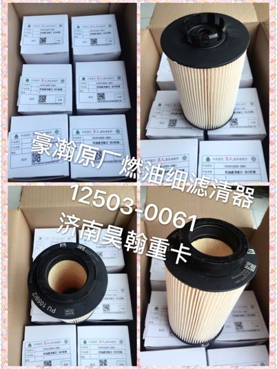 重汽豪瀚駕駛室總成 豪瀚燃油細濾粗濾 豪瀚燃油濾清器總成/201V12503-0061