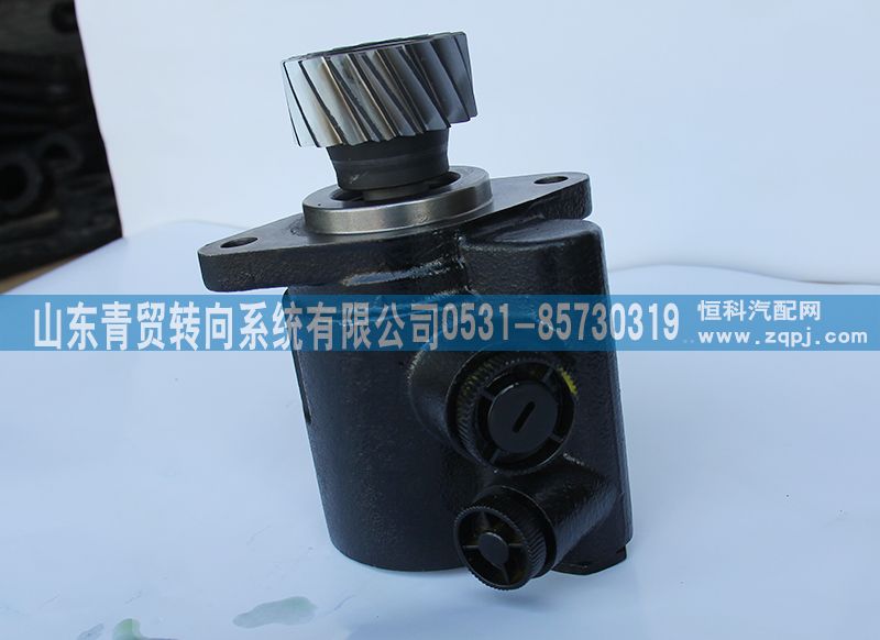612600130476,工程自卸車17齒轉向助力泵 轉向助力葉片泵 汽車轉向泵,山東青貿(mào)轉向系統(tǒng)有限公司