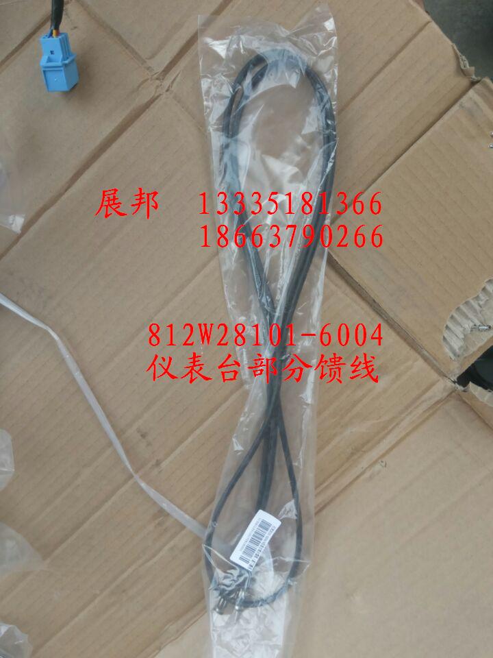 812W28101-6004,儀表臺(tái)部分饋線,濟(jì)南冠澤卡車配件營銷中心