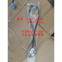 儀表臺(tái)部分饋線