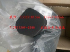 712W25509-0200,右組合開關(guān)堵蓋,濟南冠澤卡車配件營銷中心