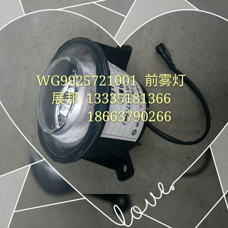 WG9925721001,前霧燈,濟(jì)南冠澤卡車配件營(yíng)銷中心