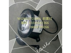 WG9925721001,前霧燈,濟(jì)南冠澤卡車配件營(yíng)銷中心