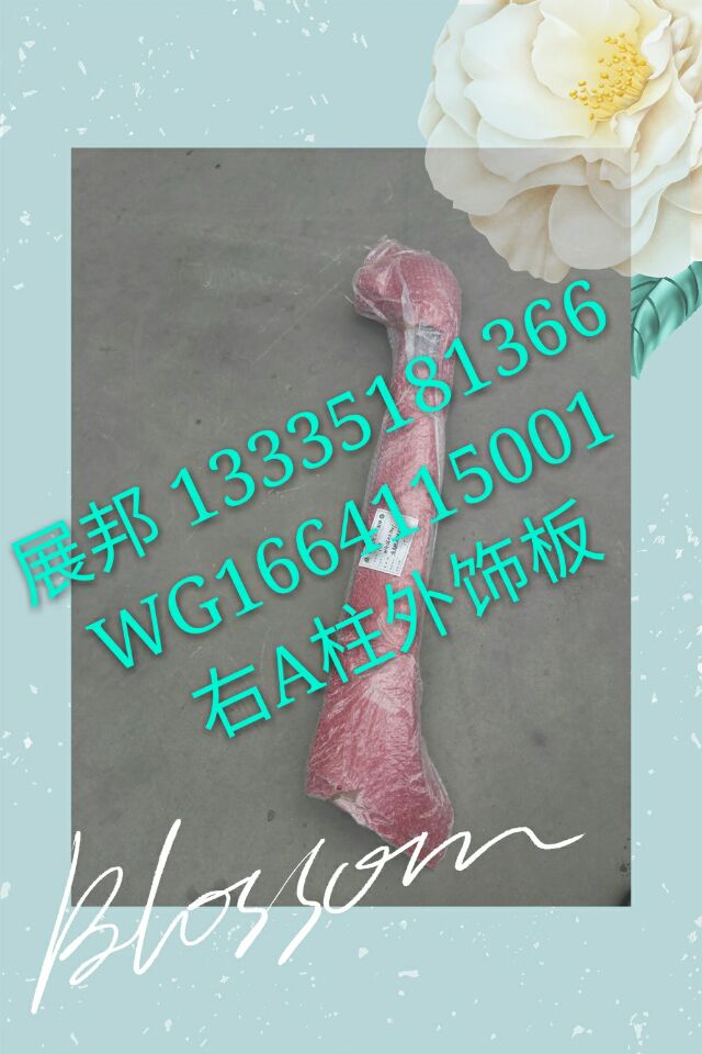 WG1664115001,右A柱外飾板,濟(jì)南冠澤卡車配件營(yíng)銷中心