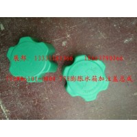 T7H膨脹水箱加注蓋總成