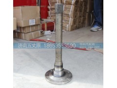 DZ9112320179,貫通軸,濟南五丈原汽車配件有限公司（原奧隆威）