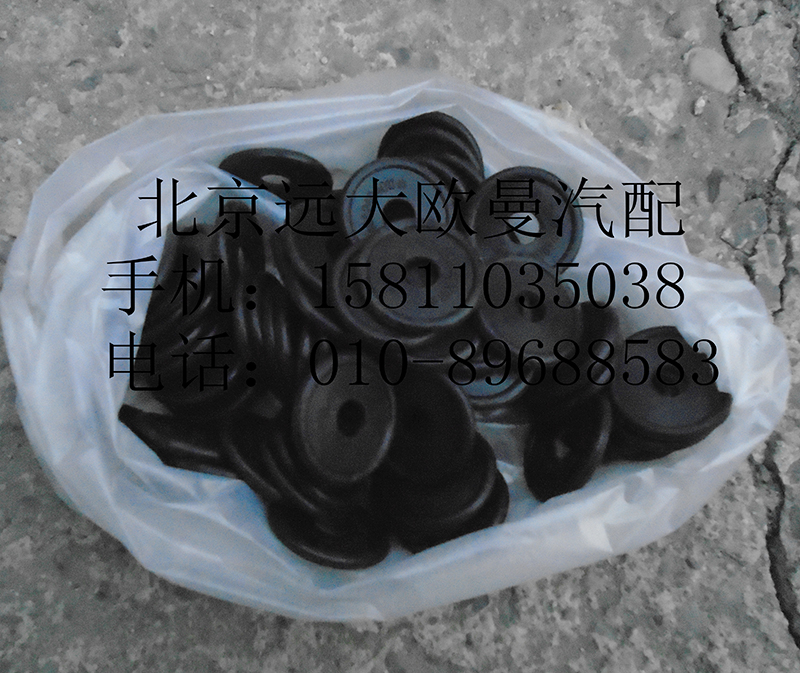 1B24982404012,固定墊片,北京遠(yuǎn)大歐曼汽車(chē)配件有限公司