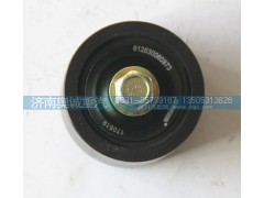 612630060973,皮帶張緊輪,濟南國盛汽車配件有限公司(原奧誠)