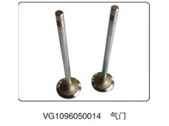 VG1096050014,氣門(mén),山東百基安國(guó)際貿(mào)易有限公司