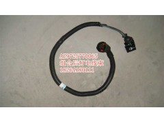 AZ9725770065,組合后燈電線束,濟(jì)南百思特駕駛室車身焊接廠