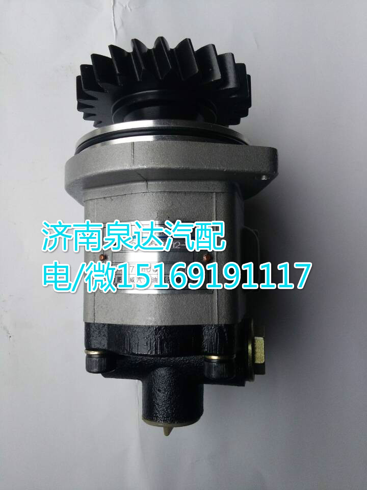1032300111,轉(zhuǎn)向巨力泵/齒輪泵,濟(jì)南泉達(dá)汽配有限公司