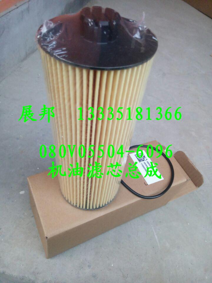 080V05504-6096,機油濾芯總成,濟南冠澤卡車配件營銷中心