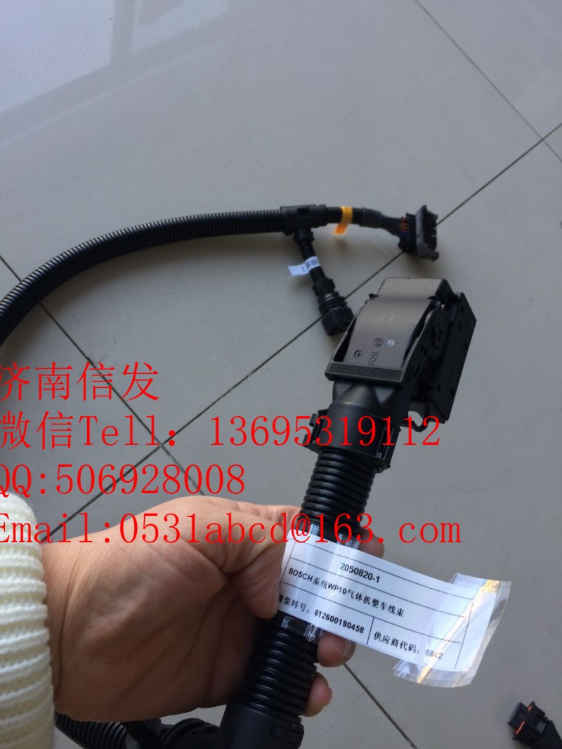 612600190458 博世天然氣整車線束/612600190458
