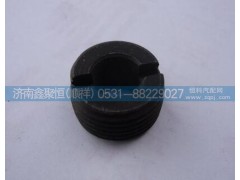 8968,插座鎖插頭,濟南鑫聚恒汽車配件有限公司
