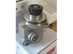 WG9100130037/1,動力助力泵,濟(jì)南大瑞汽車配件有限公司