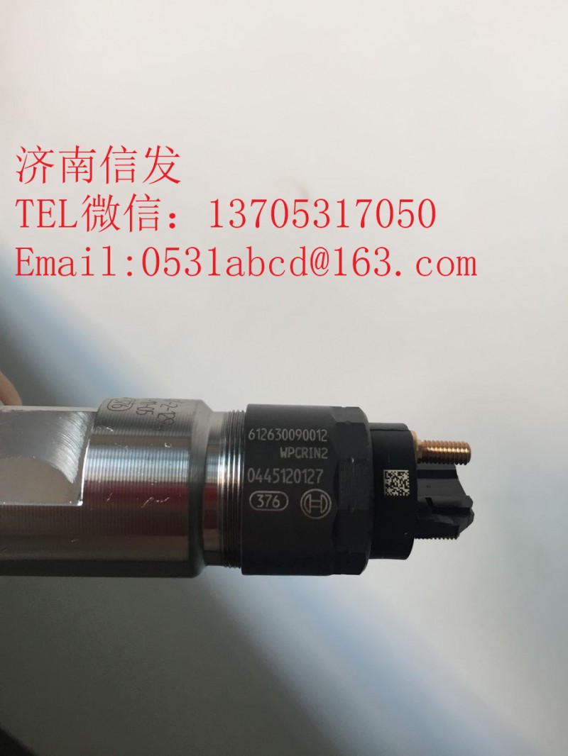 612630090012德龍噴油器濟(jì)南信發(fā),612630090012德龍噴油器濟(jì)南信發(fā),濟(jì)南信發(fā)汽車配件有限公司