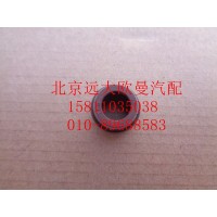 61800050151氣門(mén)油封