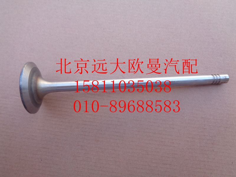 612630050001,進氣門,北京遠(yuǎn)大歐曼汽車配件有限公司