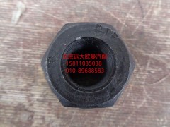 31FS01-04055,后車輪螺母,北京遠(yuǎn)大歐曼汽車配件有限公司